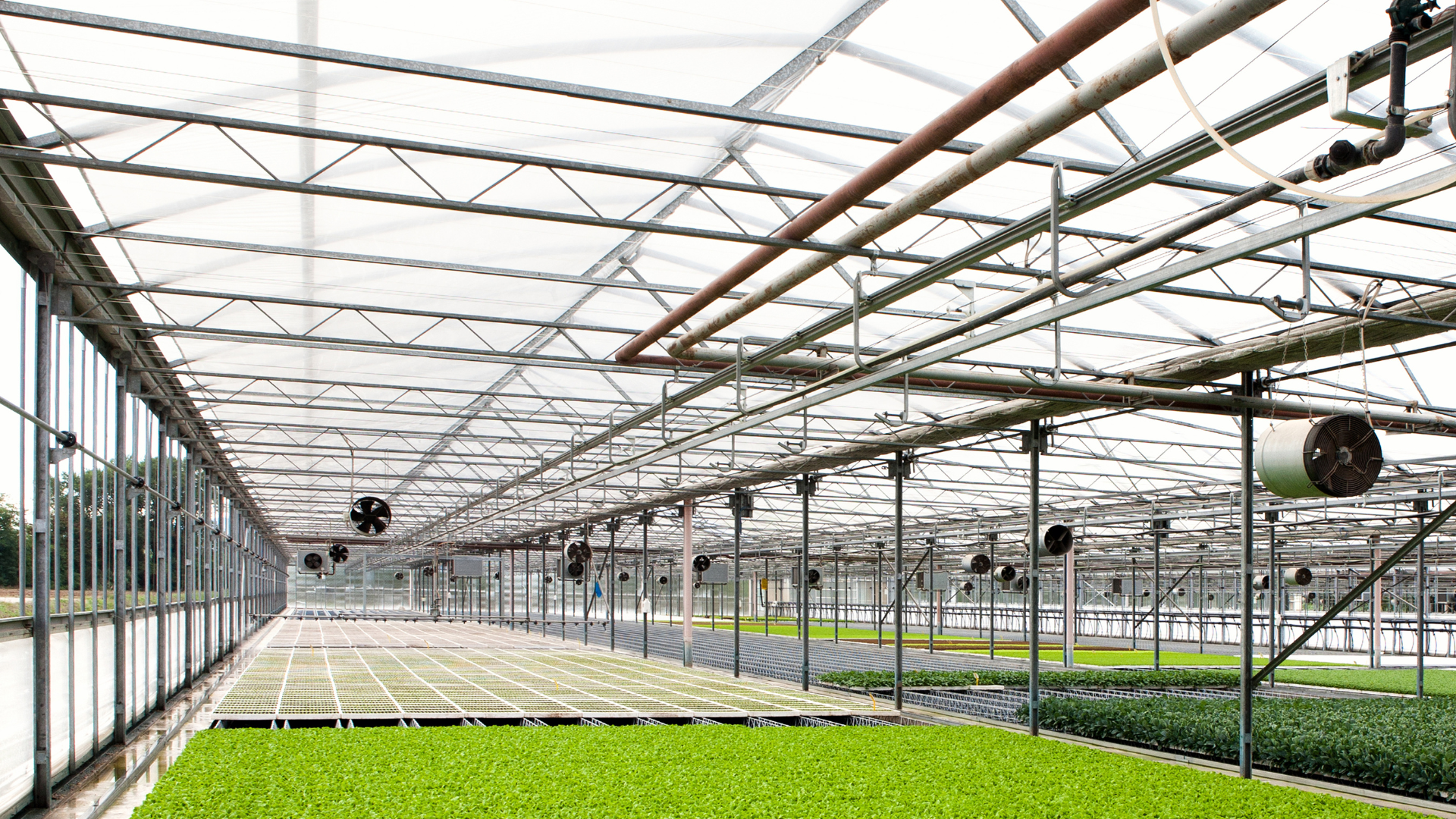 Aziende Agricole