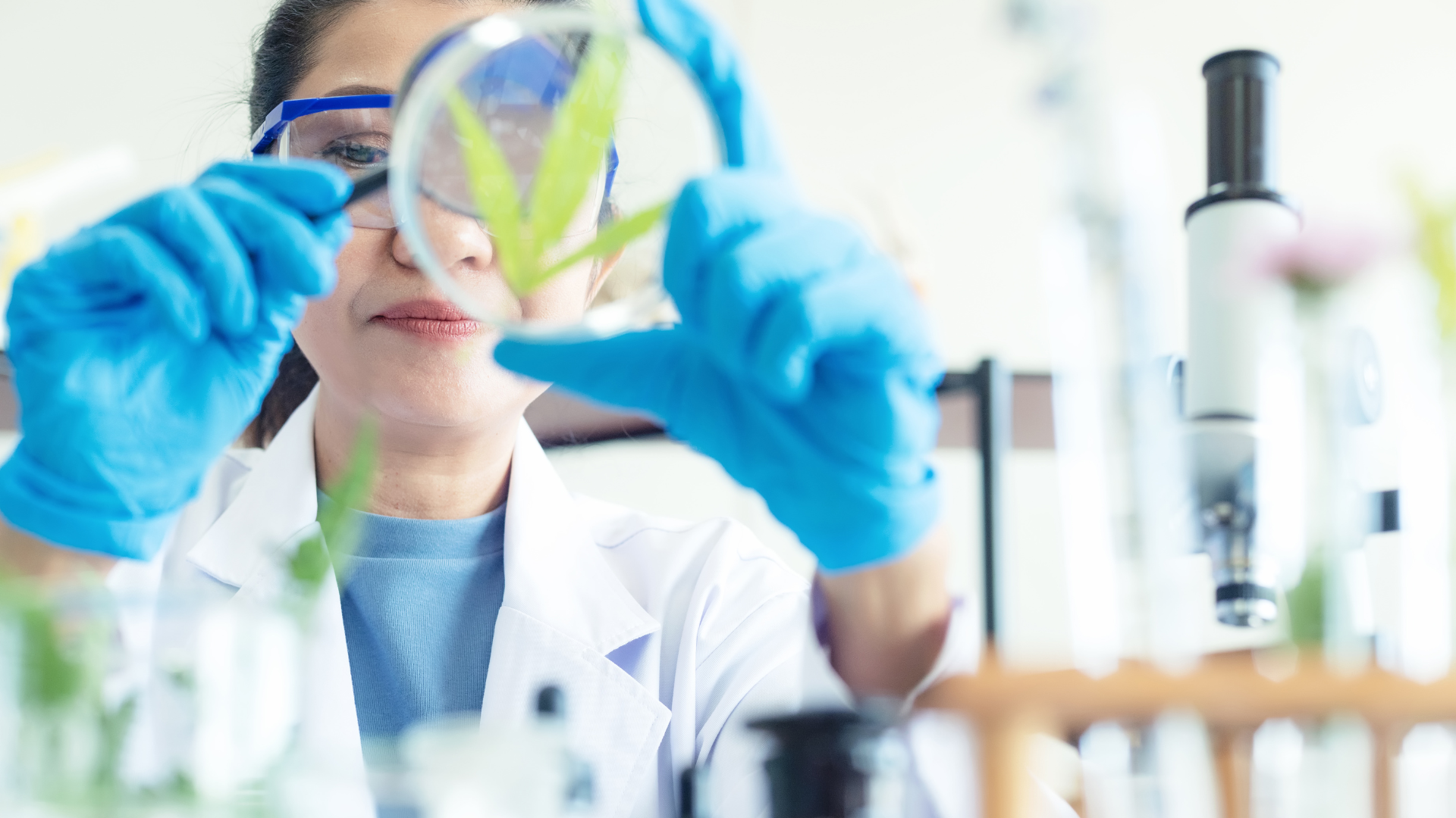 Aziende Farmaceutiche, Veterinarie e Cosmetiche
